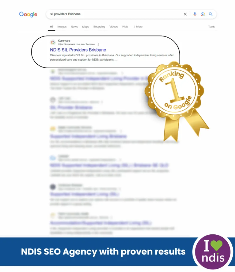 Proven NDIS SEO Results 1