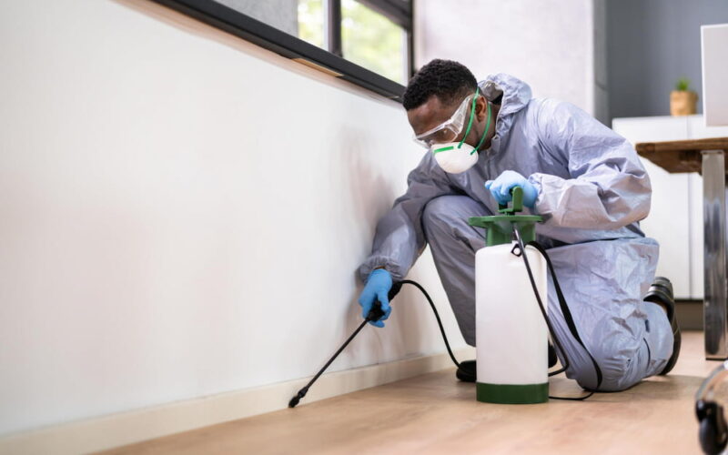 Pest Control companies